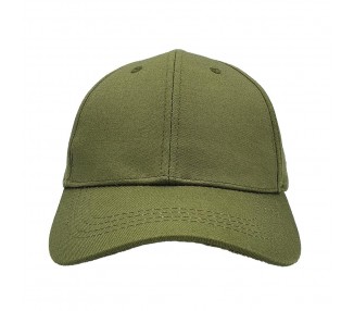 Ash Green Fashion Fit Pet