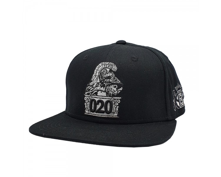 Ajax the Great 020 Snapback Hat