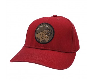 Exotic Bully Burgundy Hat