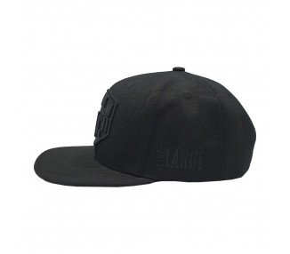 Go Green Snapback Pet